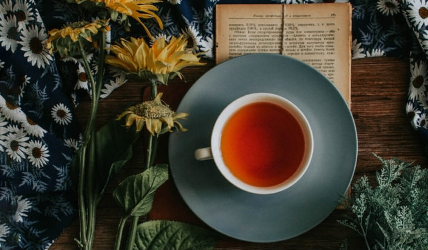 reasons to drink reasons to drink