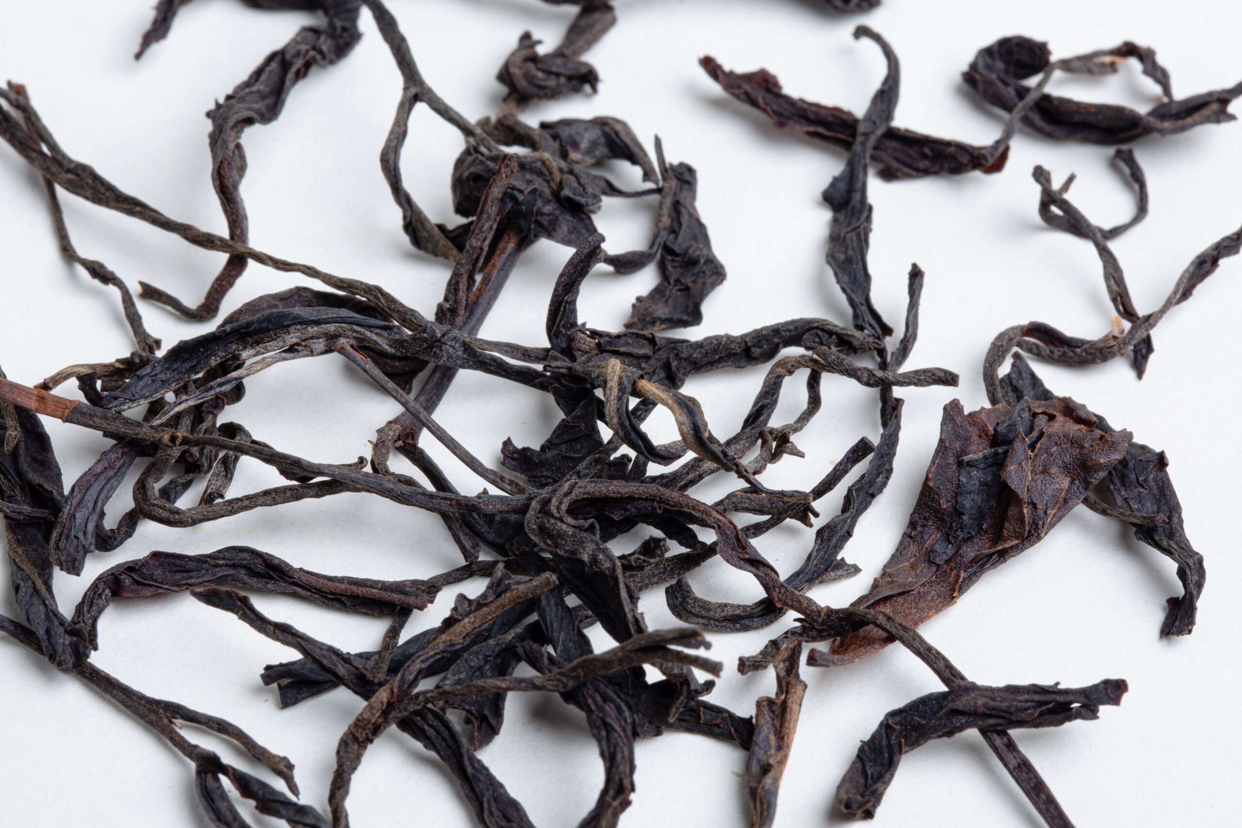 Hanshys ACBT IN40 03