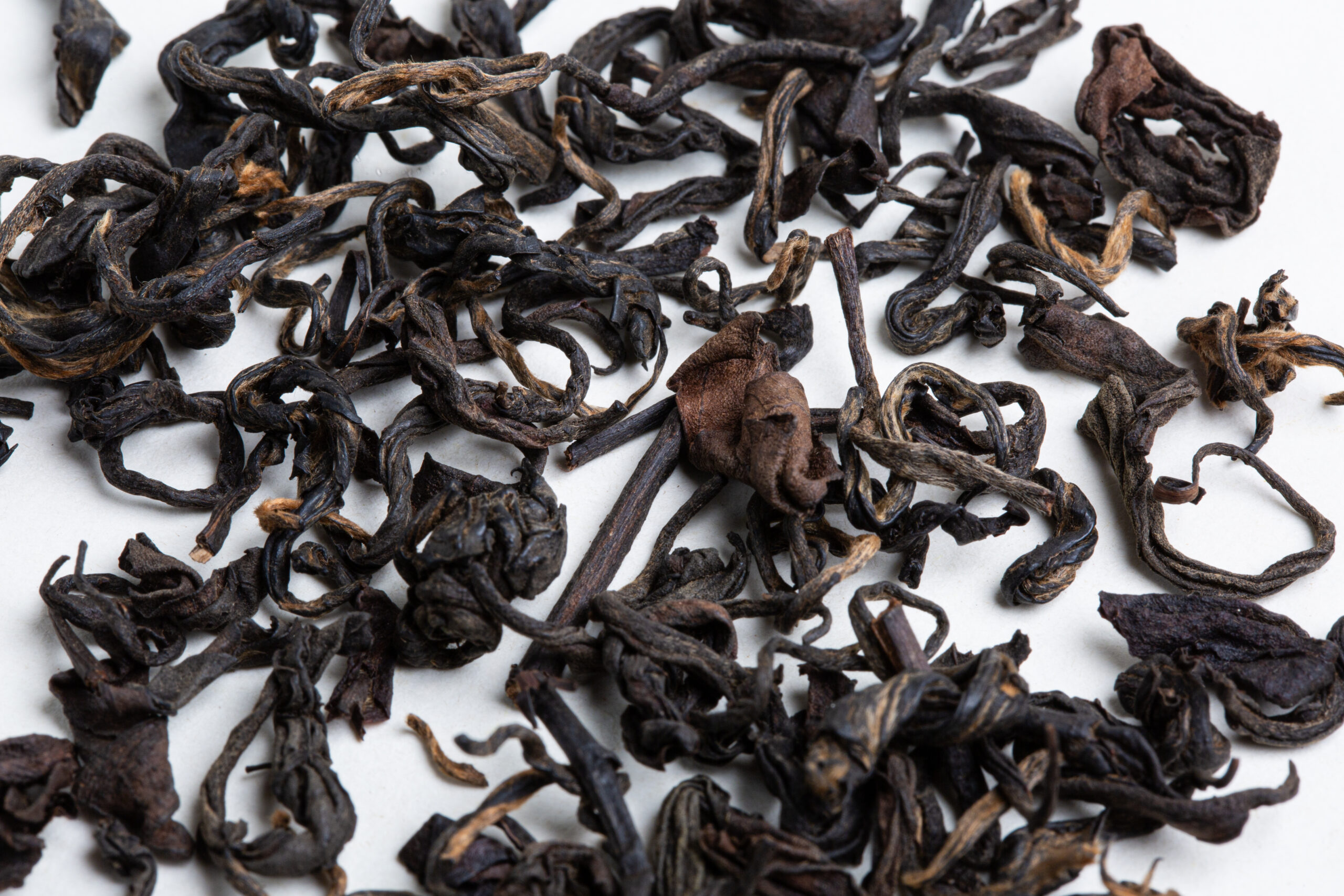 Hanshys DEOT IN56 03