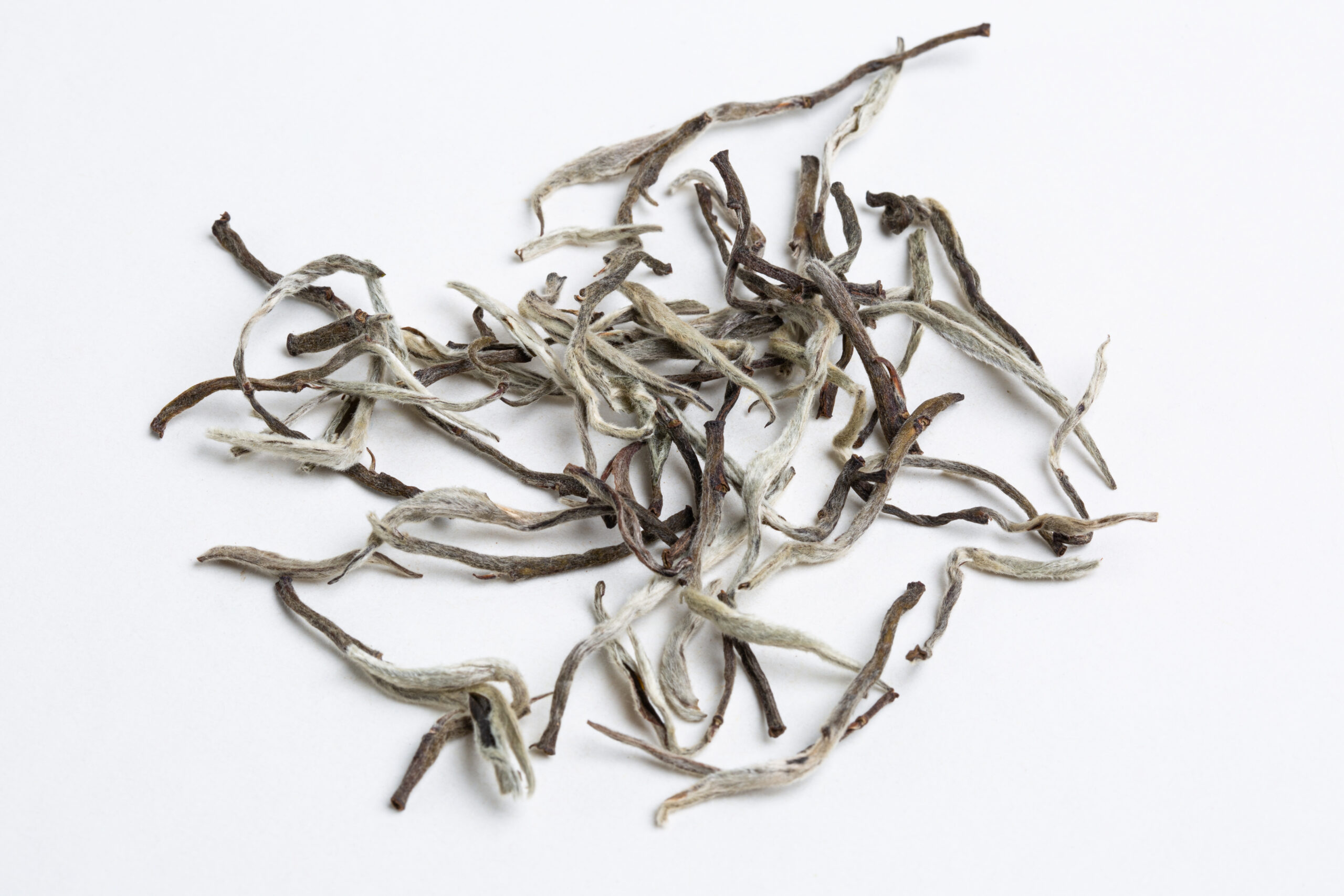 Hanshys EHSN IN64 02