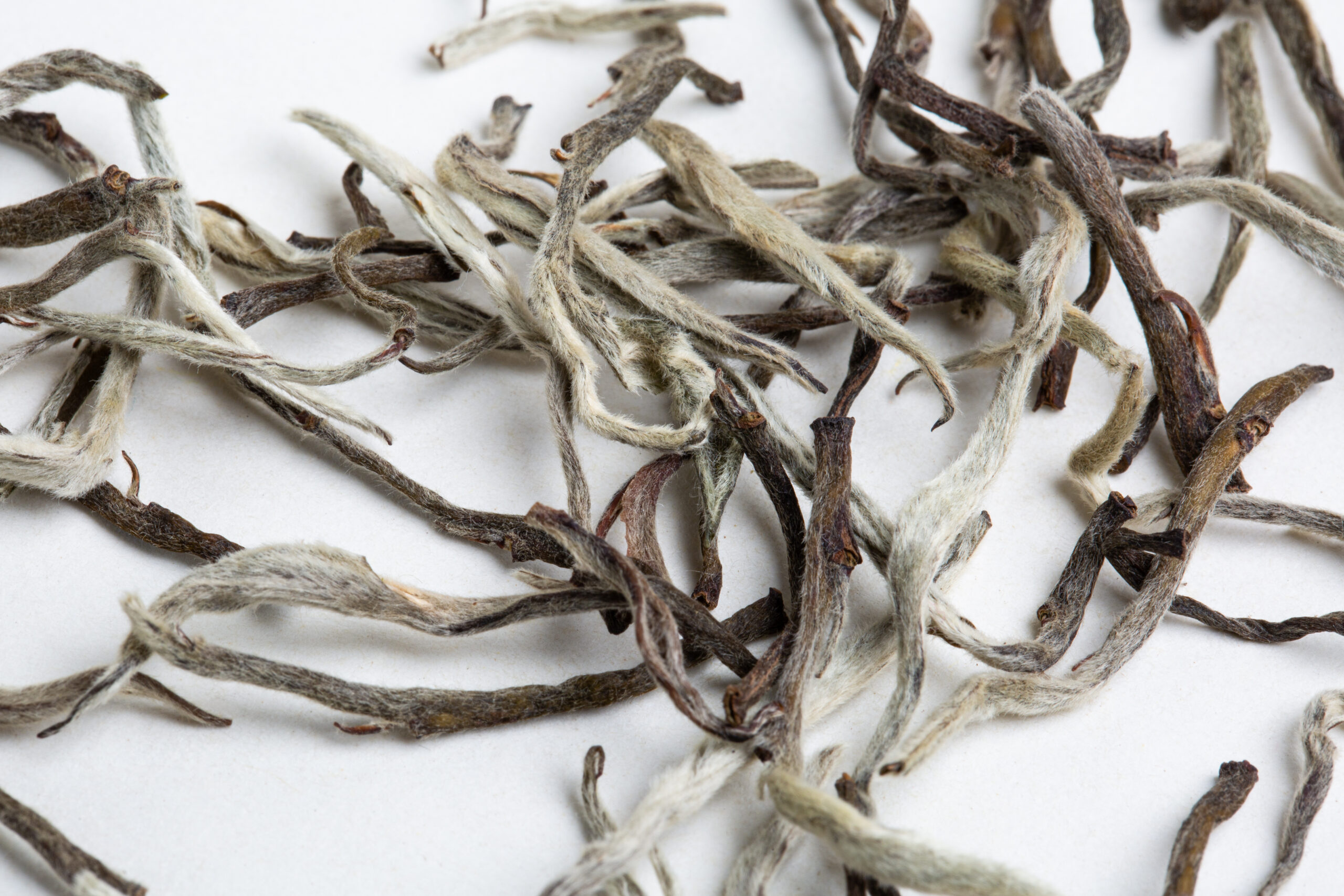 Hanshys EHSN IN64 03