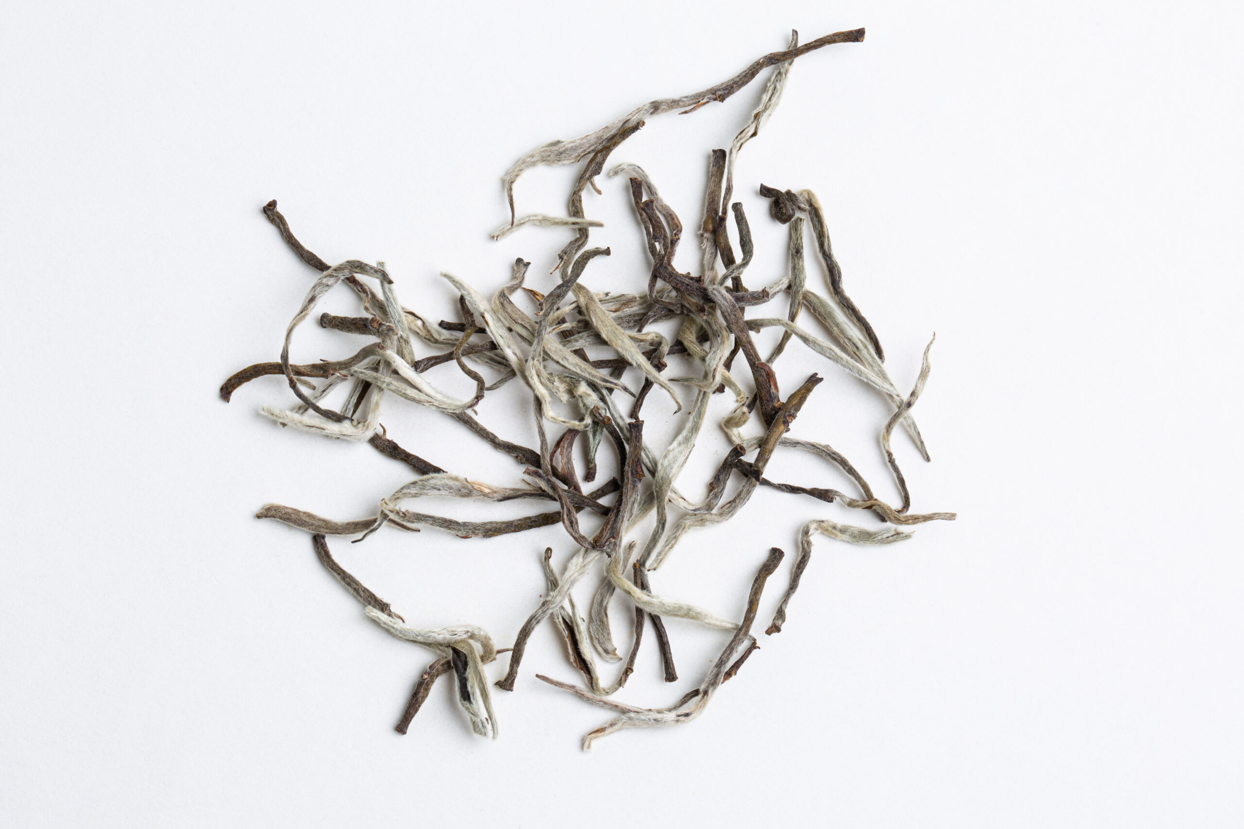 Hanshys EHSN IN64 04