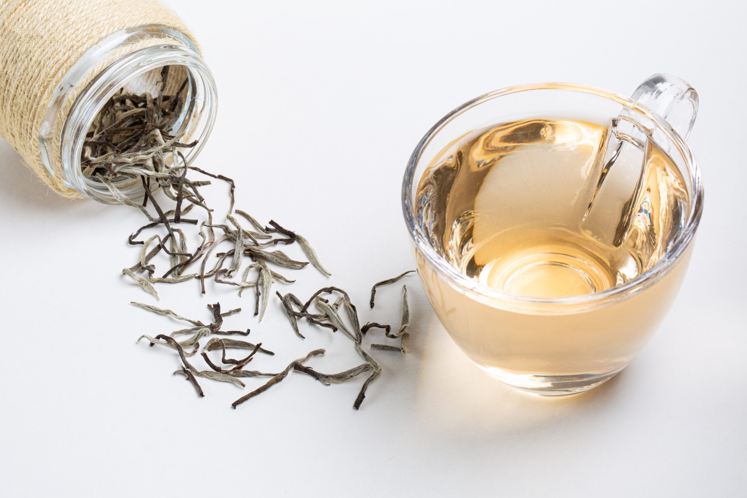 Hanshys EHSN IN64 05