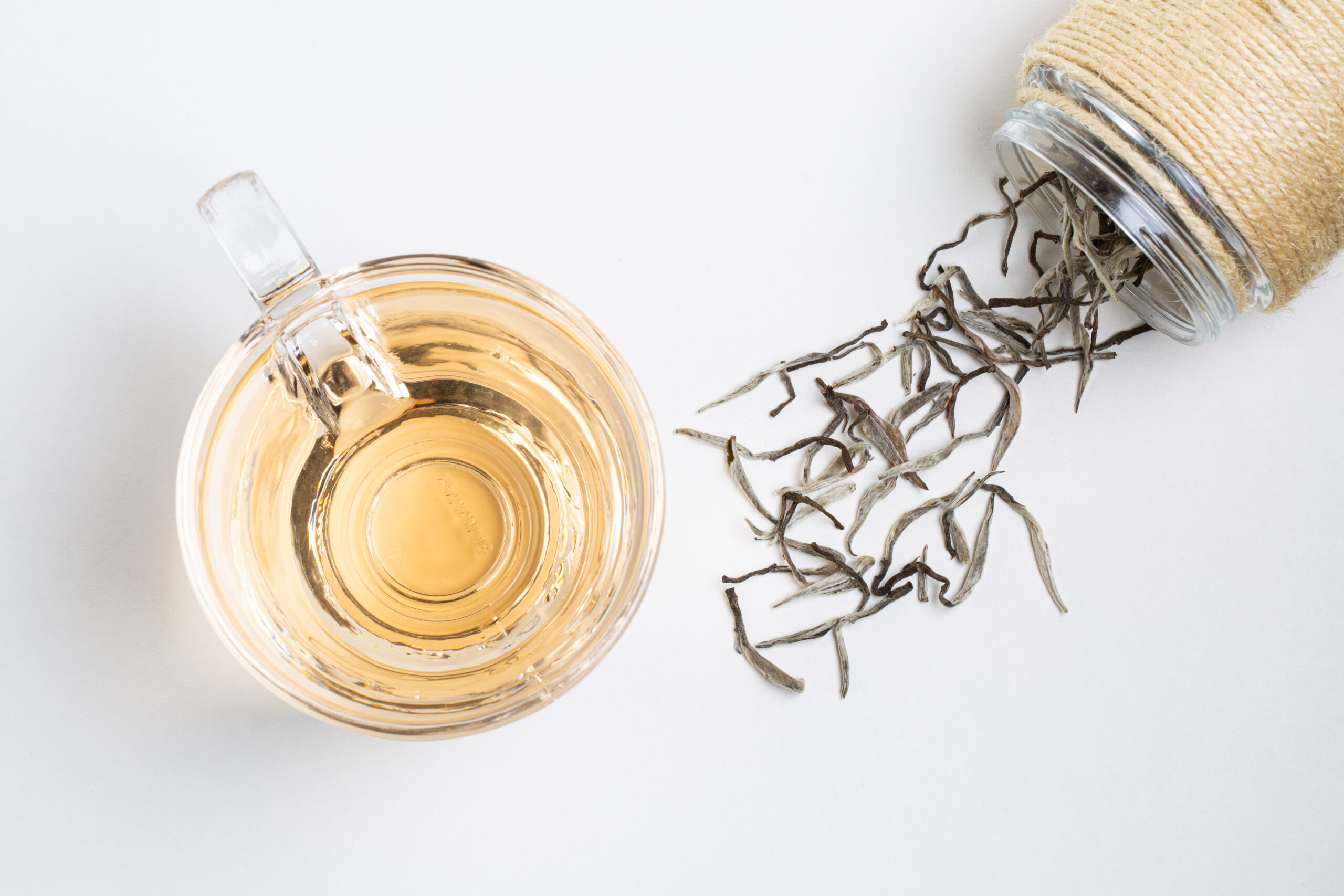 Hanshys EHSN IN64 06