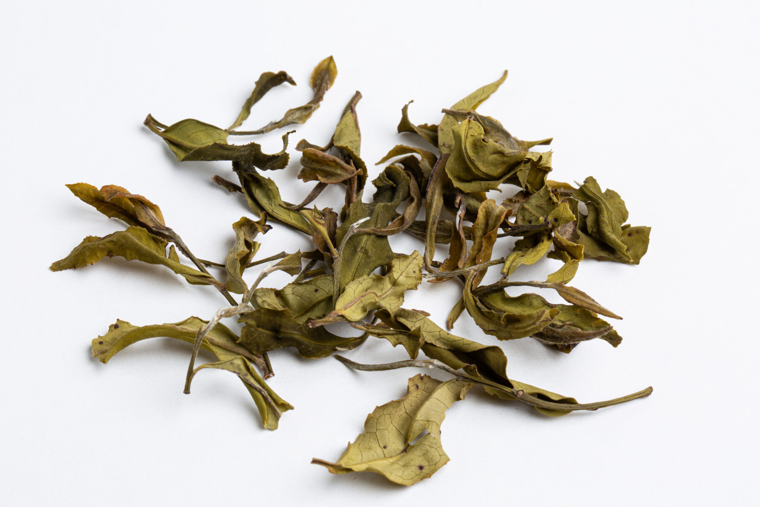 Hanshys EMWT IN65 02