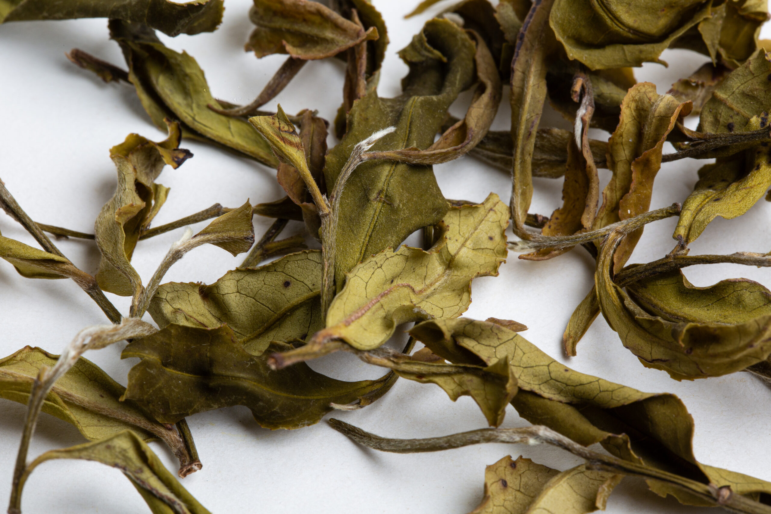 Hanshys EMWT IN65 03