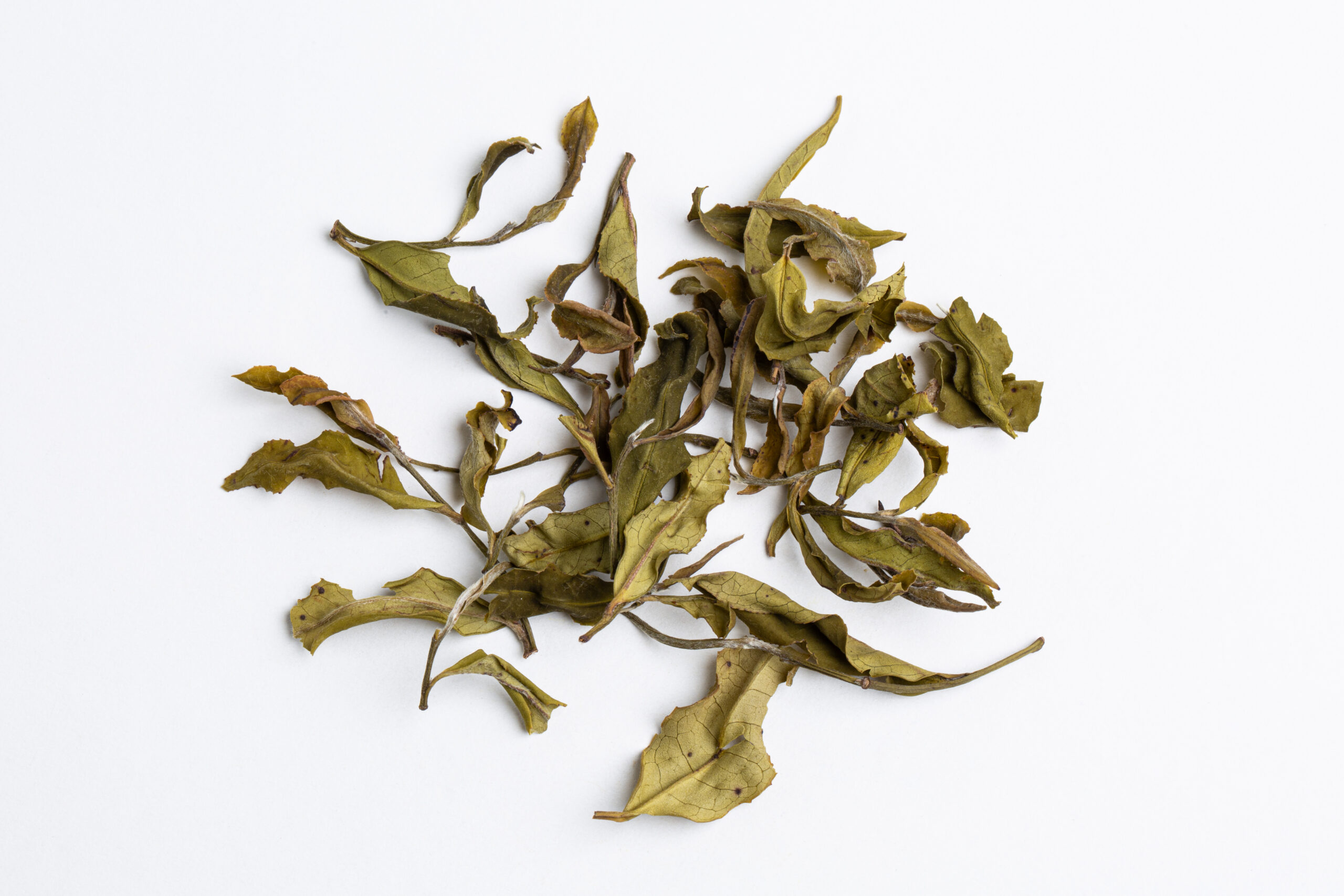 Hanshys EMWT IN65 04