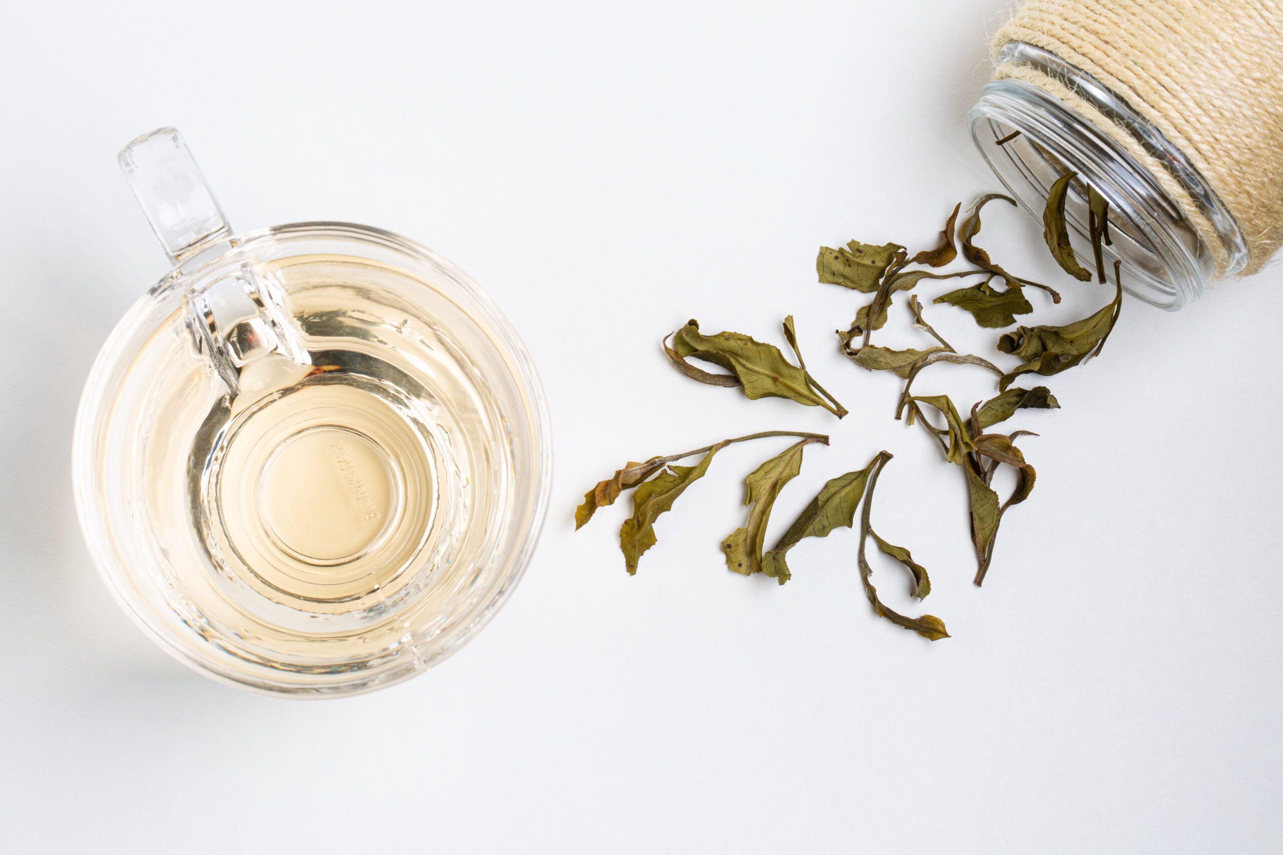 Hanshys EMWT IN65 06