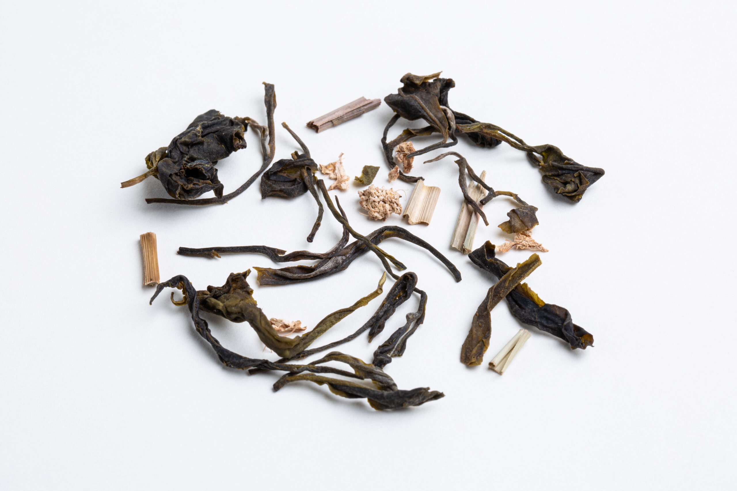 Hanshys GLGD IN04 02