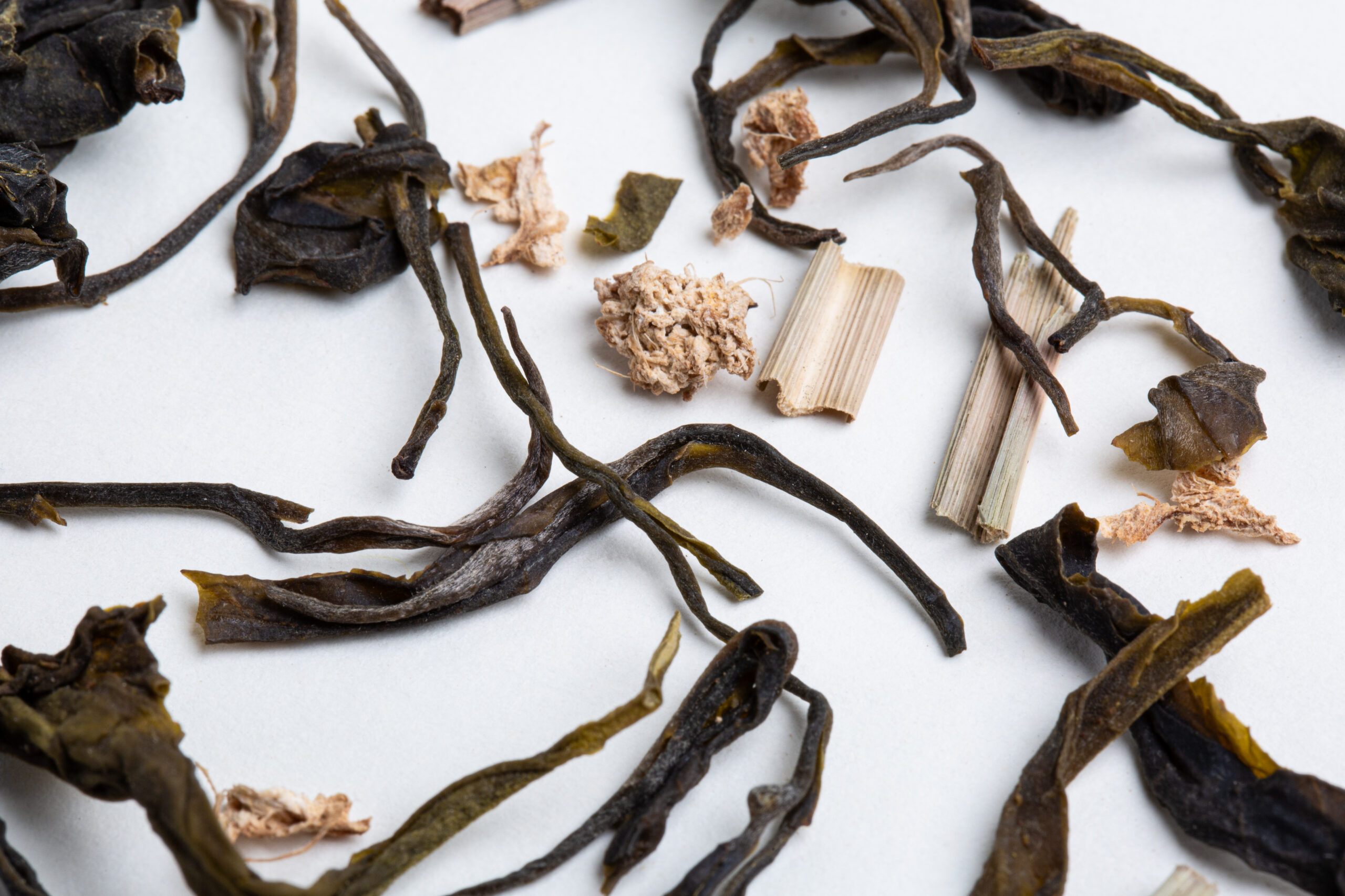 Hanshys GLGD IN04 03