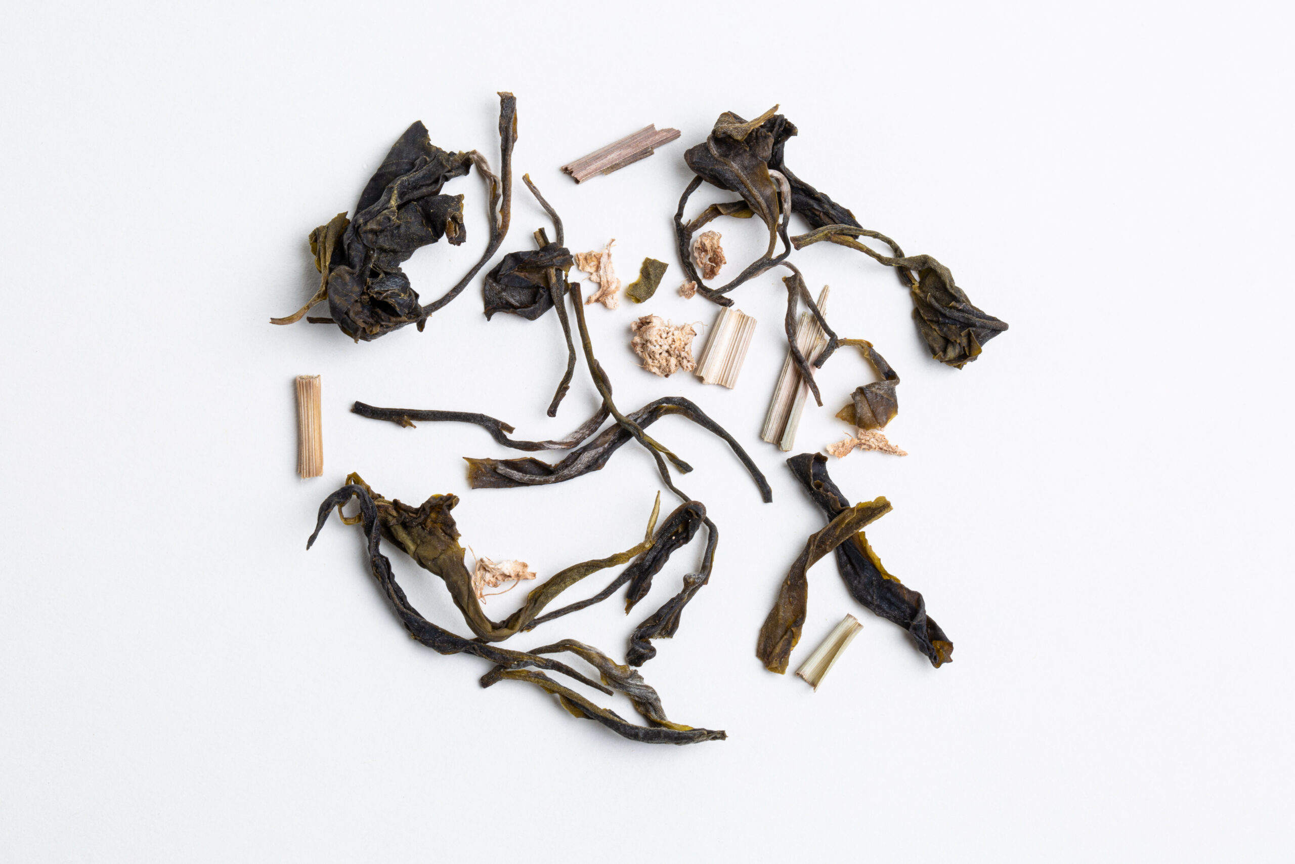 Hanshys GLGD IN04 04