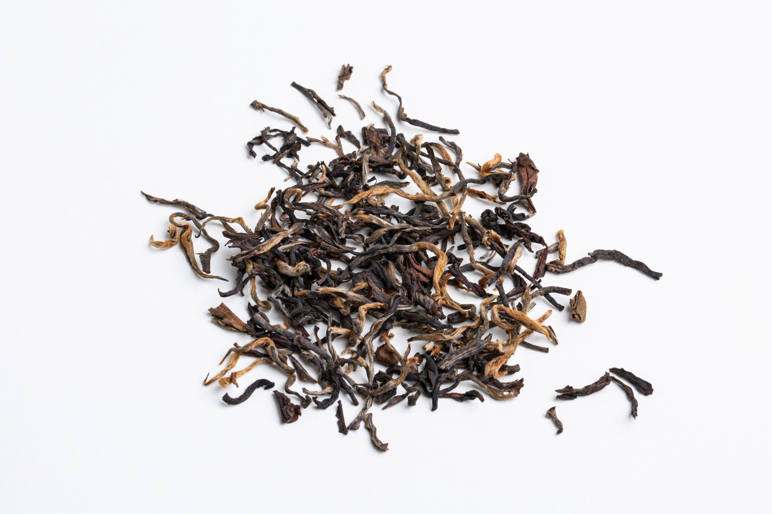 Hanshys GMBT IN53 02