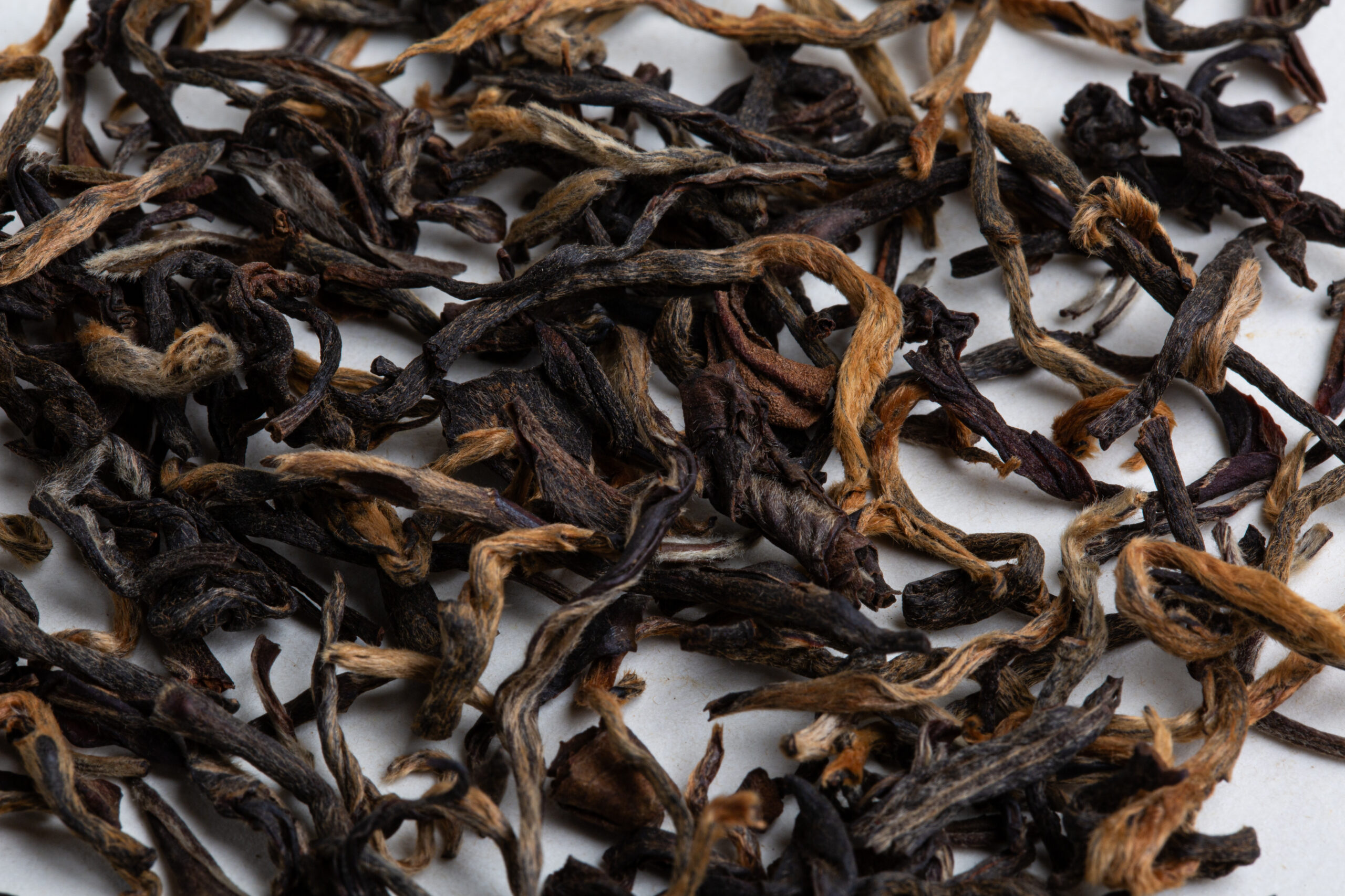 Hanshys GMBT IN53 03