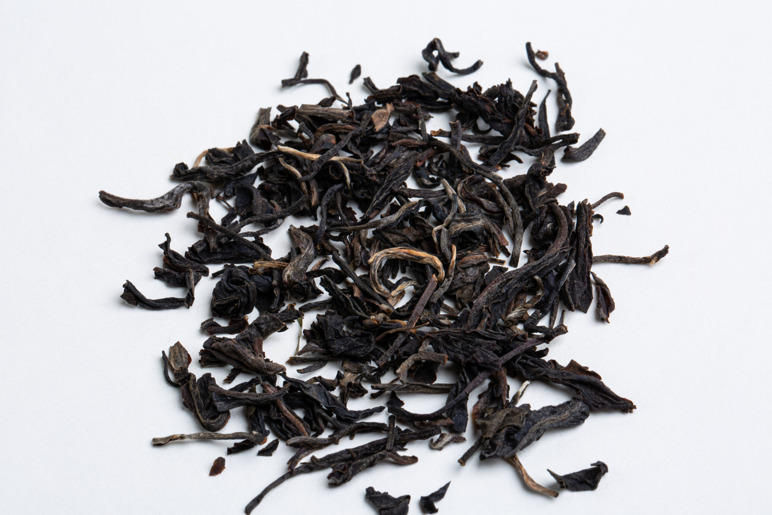 Hanshys GSBT IN42 02