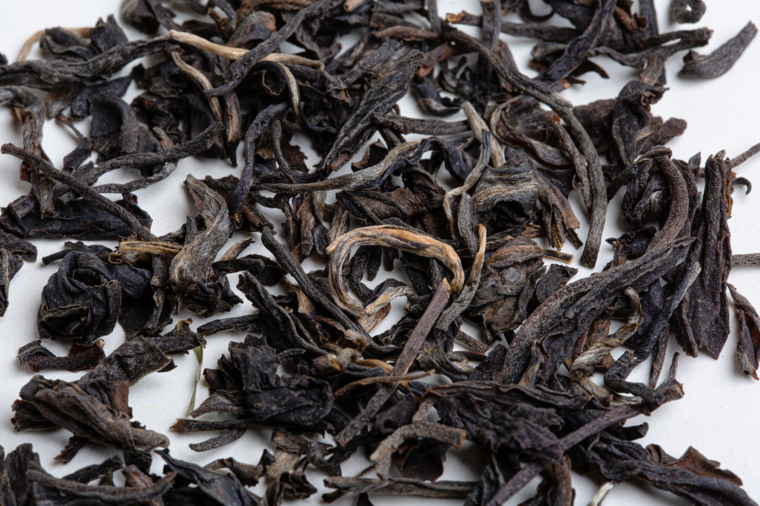 Hanshys GSBT IN42 03