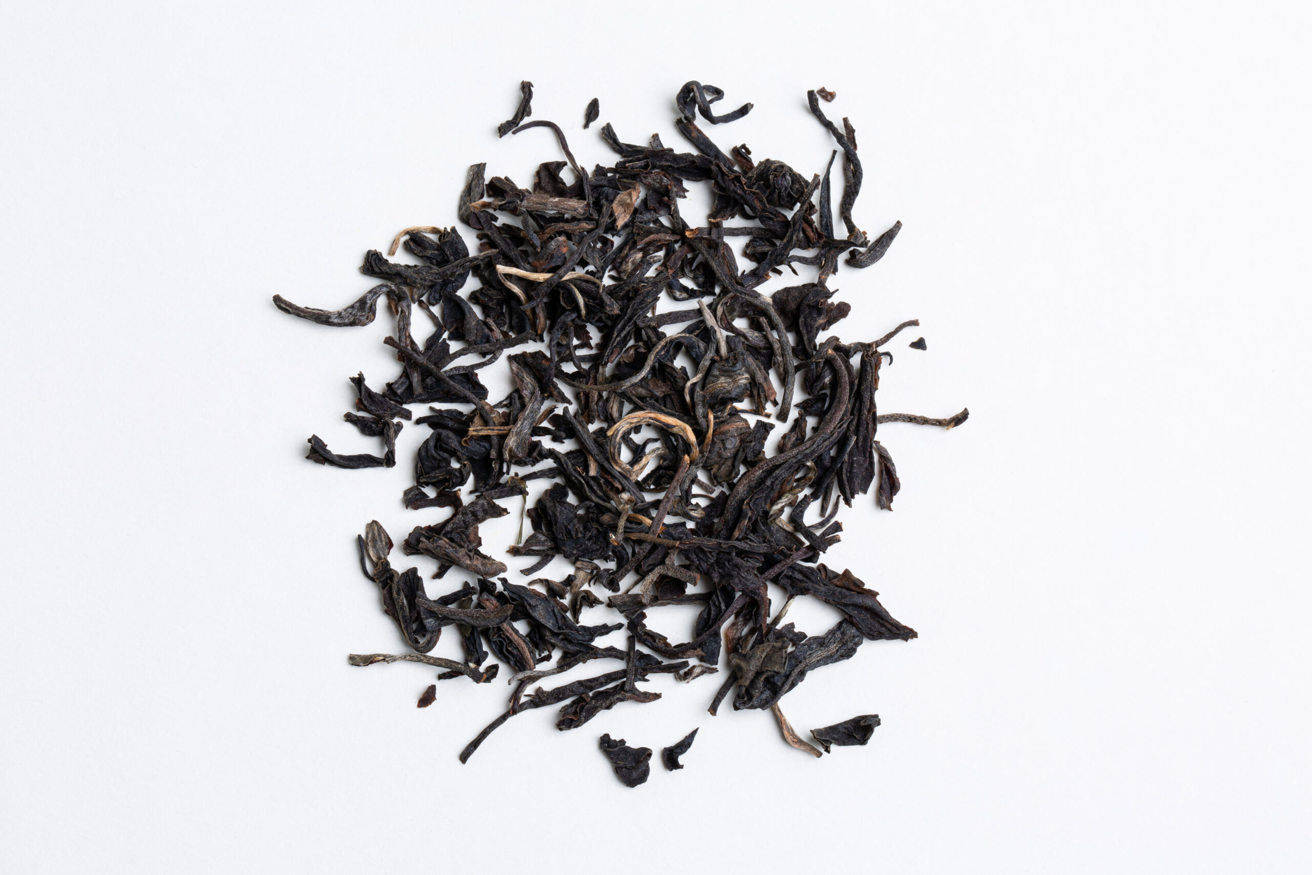 Hanshys GSBT IN42 04