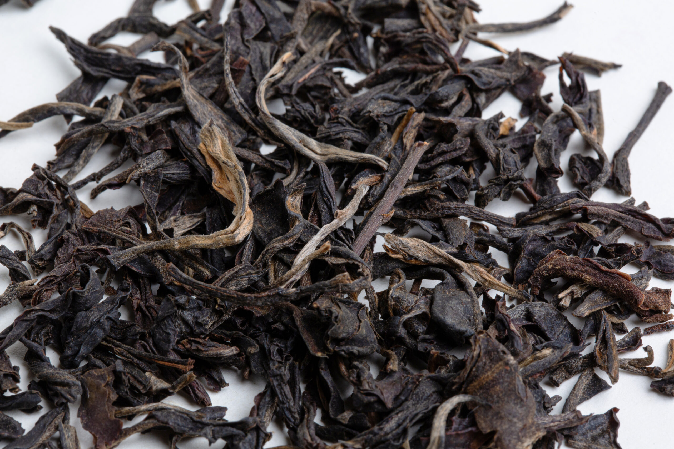 Hanshys MDBT IN41 03