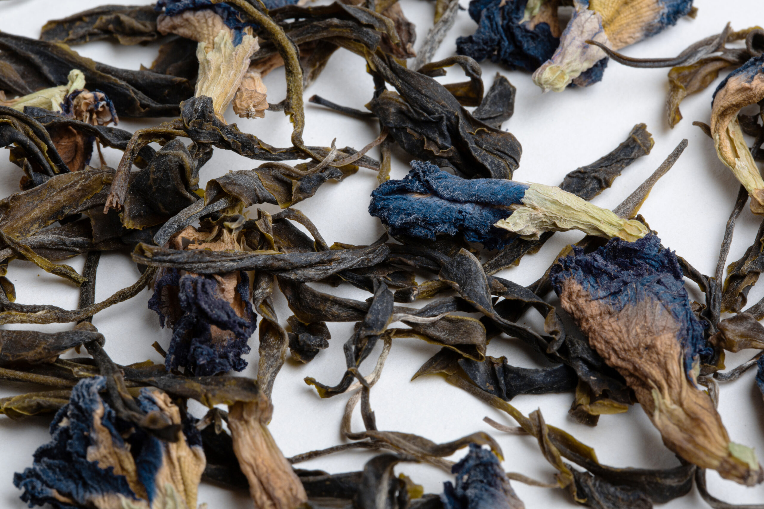 Hanshys MGBD IN12 03