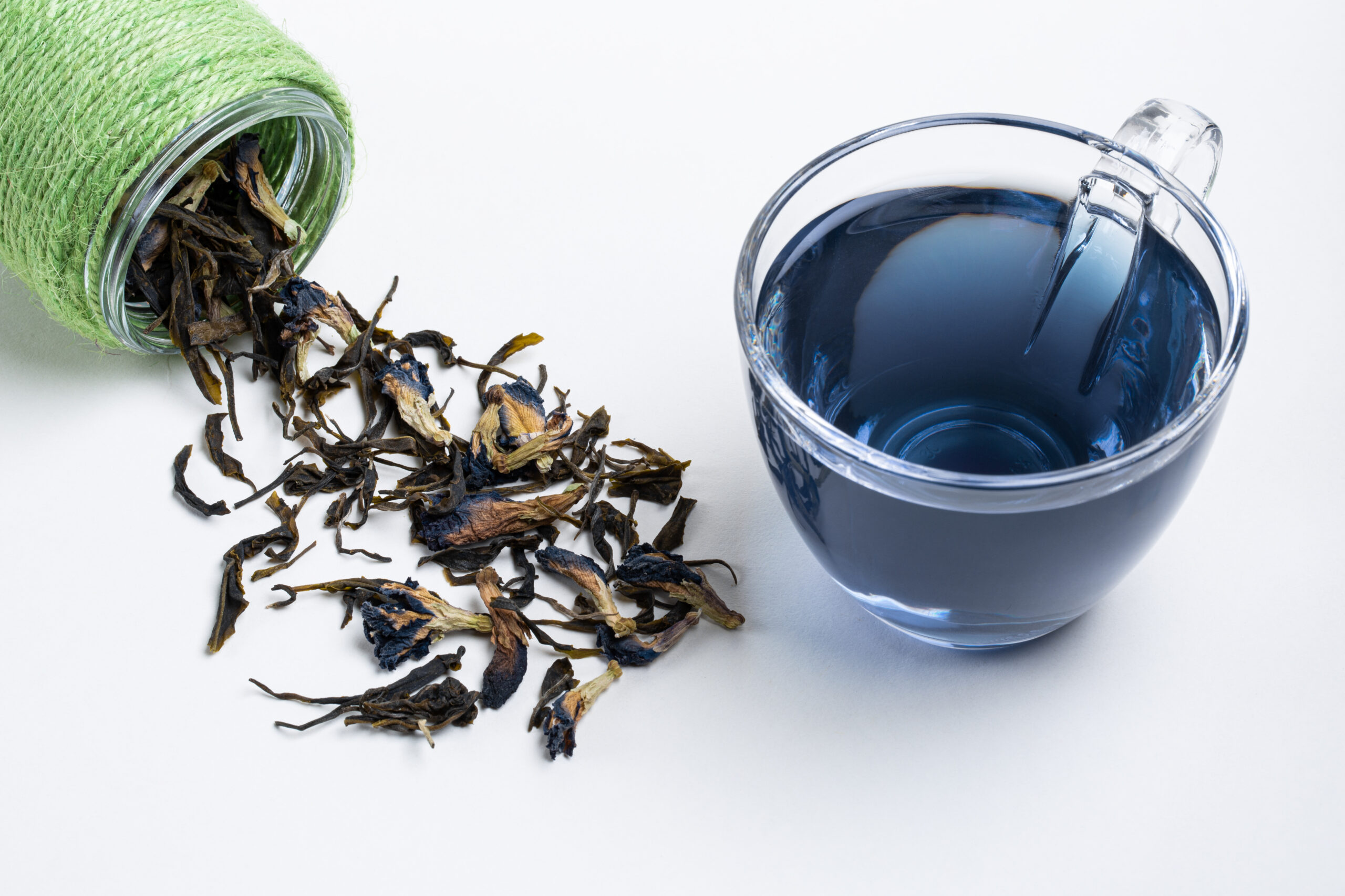 Hanshys MGBD IN12 05