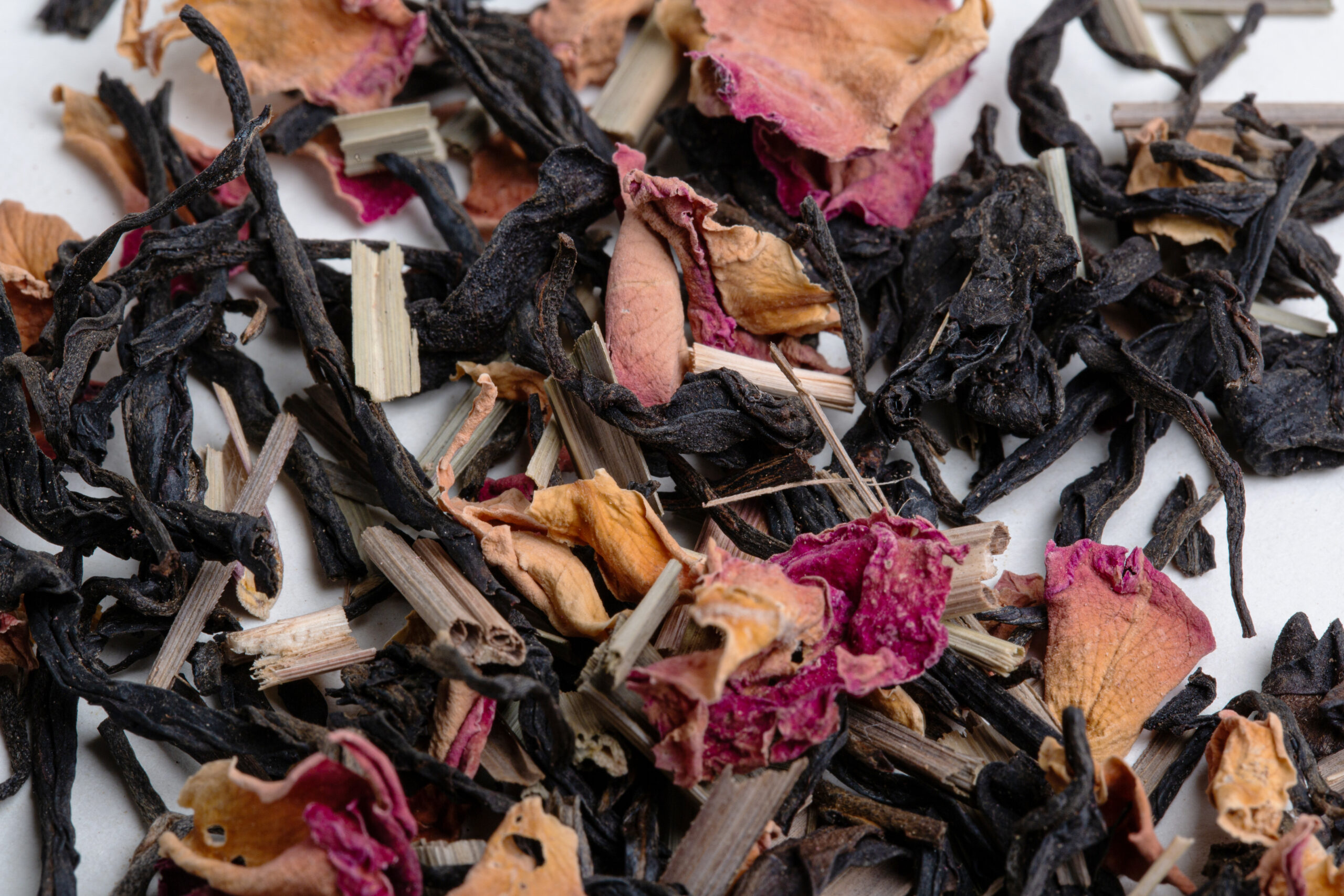 Hanshys RLBT IN43 03