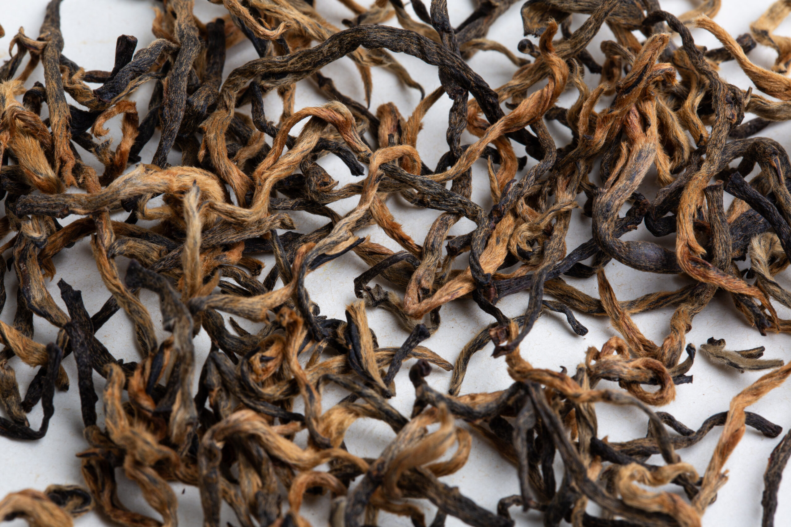 Hanshys STBT IN54 03