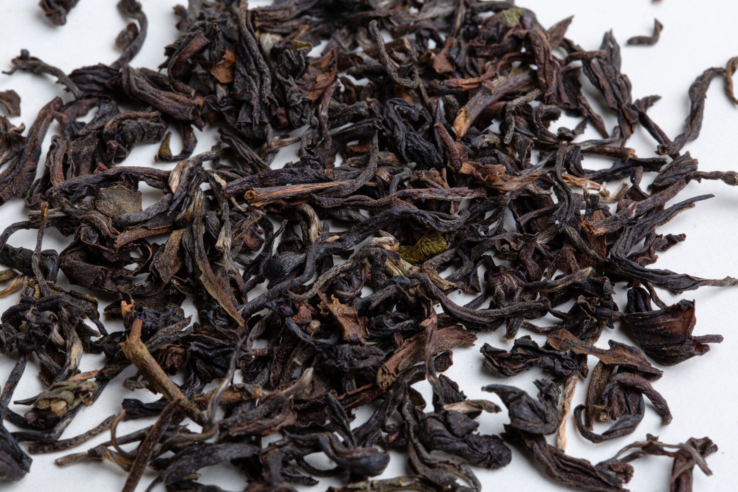 Hanshys DCBT IN46 03