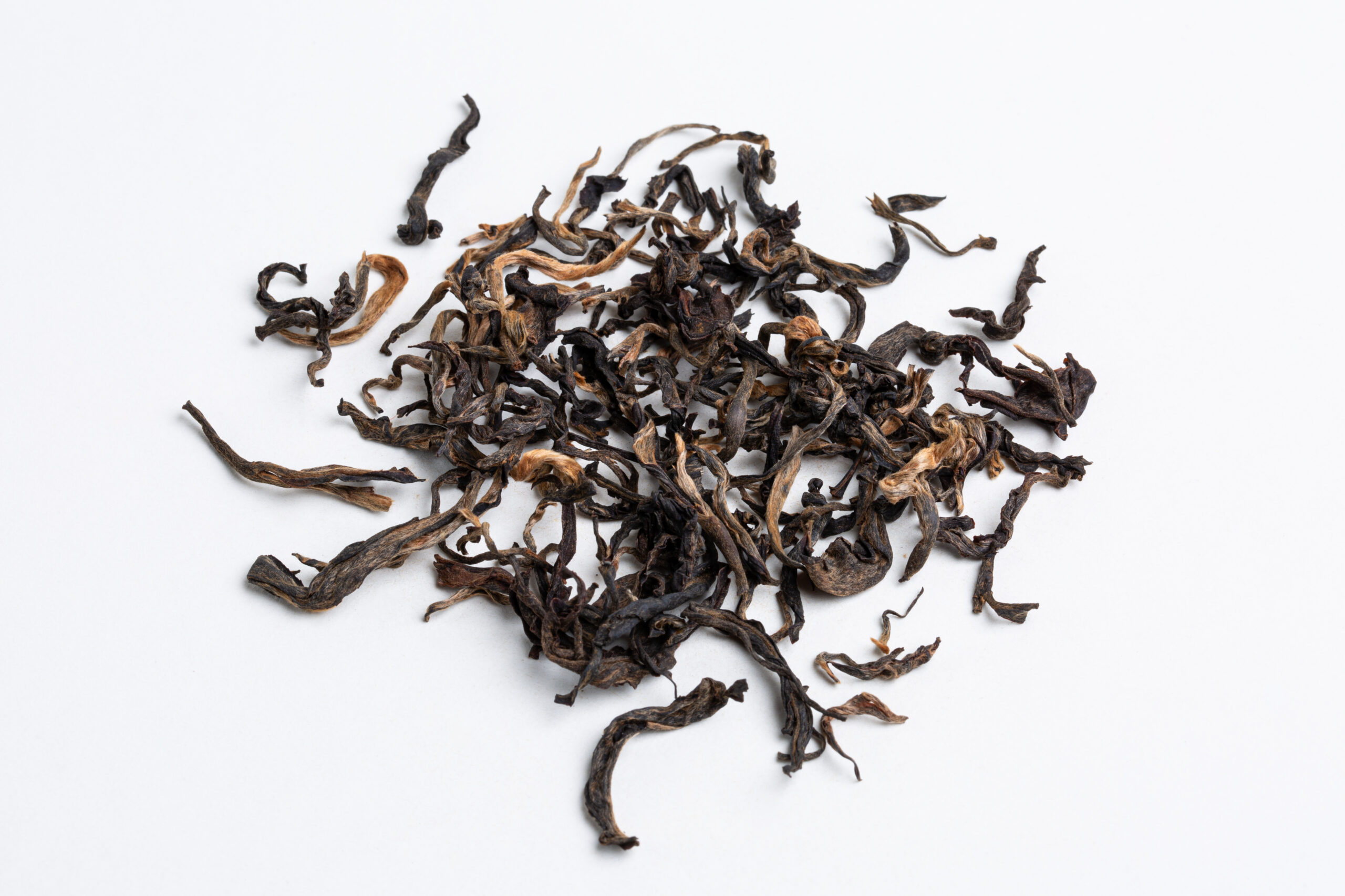 Hanshys DGOT IN77 02