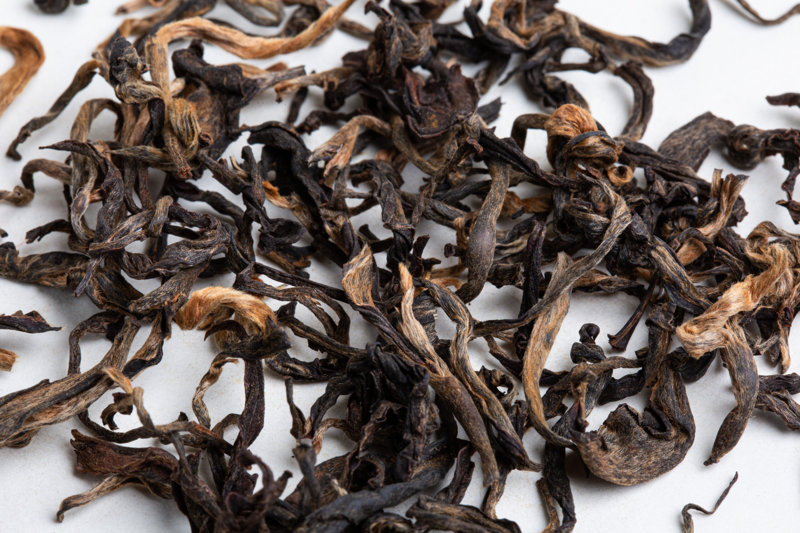 Hanshys DGOT IN77 03