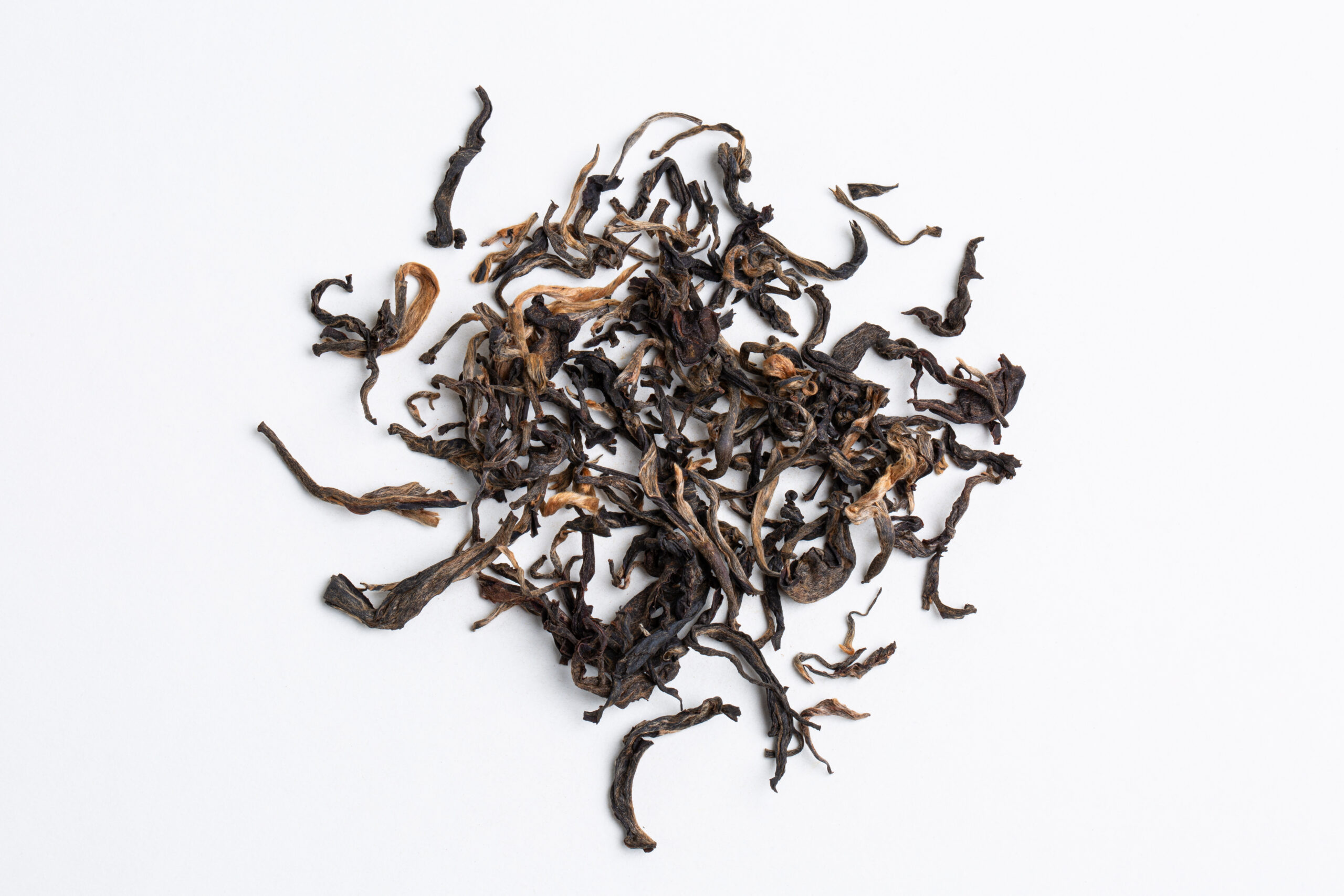 Hanshys DGOT IN77 04